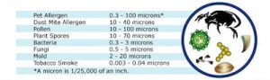 size of particles in the air