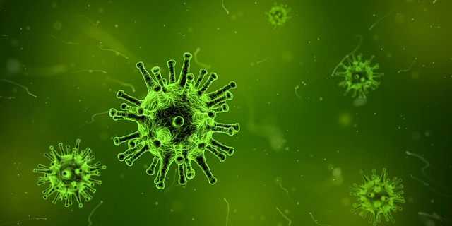 Viruses and UV Air Purifier