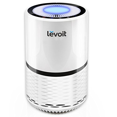 Two Affordable Levoit Air Purifier Options  pureAir