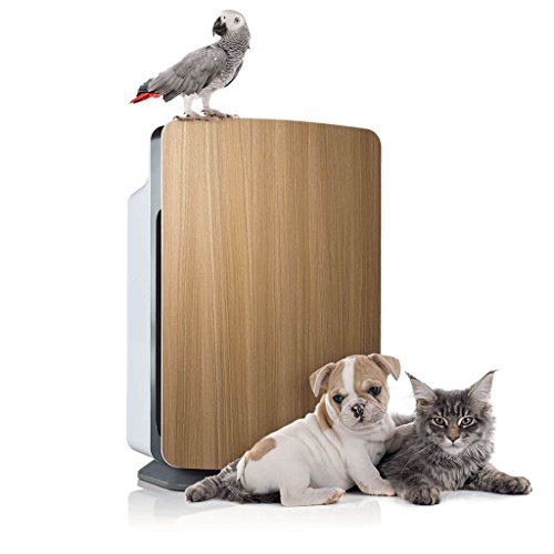 Best Air Purifier for Pet Hair Remove Pet Hair, Dander