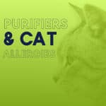 Air Purifier for Cat Allergies