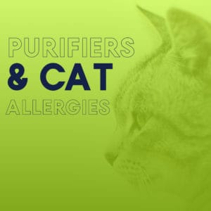 Air Purifier for Cat Allergies