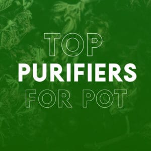 Best Air Purifier for Weed Smoke