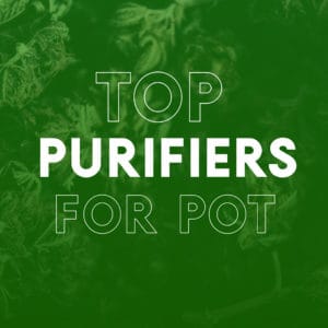 Best Air Purifier for Weed Smoke