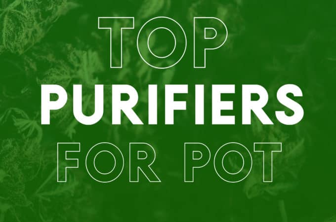 Best Air Purifier for Weed Smoke